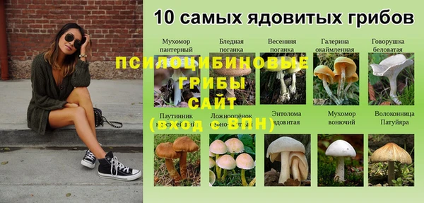 твердый Остров
