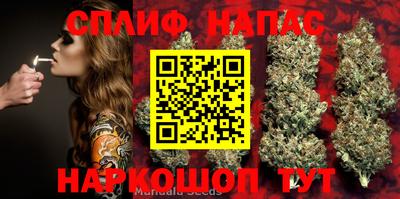 a pvp Краснознаменск