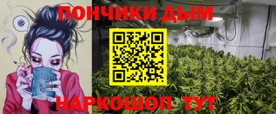 сатива Краснодар