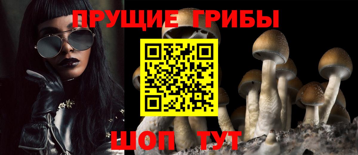 Псилоцибиновые грибы ЛСД Новосибирск