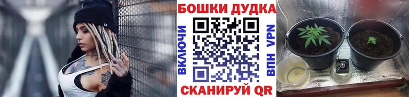 blacksprut онион  Новосибирск  Конопля VHQ 